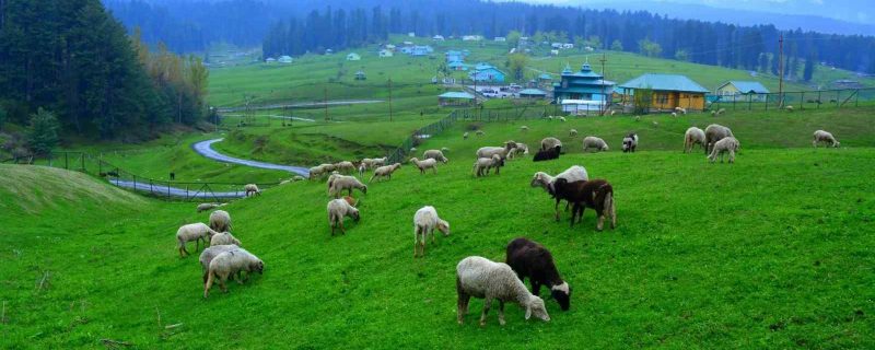 Untitled-design-2022-08-12T183930.321-1600x900